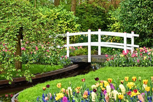 An idyllic garden scene