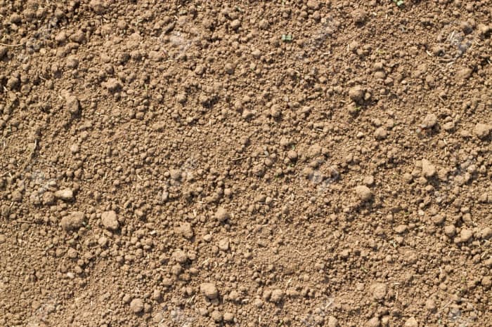 To determine if you have silty soil, pour in some water to give it a little moisture. Then put a ball of soil in your hand and squeeze it slightly. If it breaks but doesn't scatter, it is most likely silty soil.