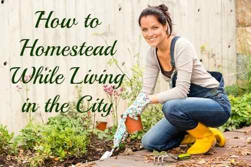 You don't have to wait to grow old and move out of the city to homestead—there are ways that you can make it work for your current life amongst the hustle and bustle of the city.