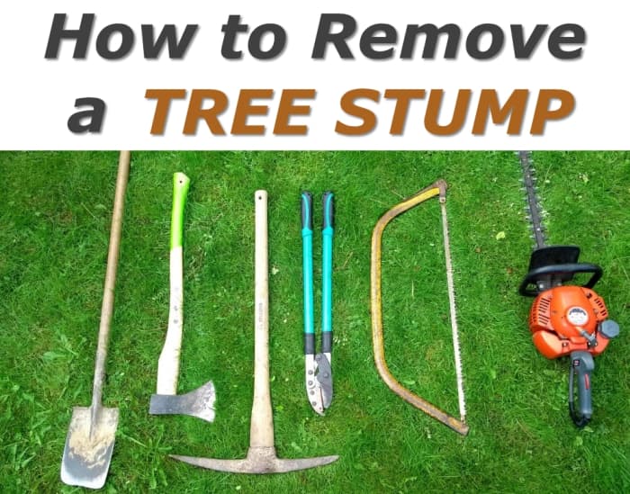 how-to-remove-a-tree-stump-easily