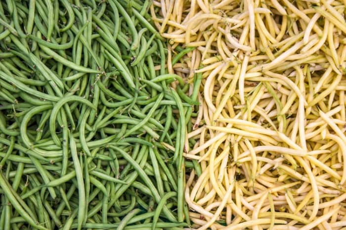 Will you choose to plant bush or pole variety beans? Bush beans may require a two-foot stake for support, while pole beans will need an eight or nine-foot pole.