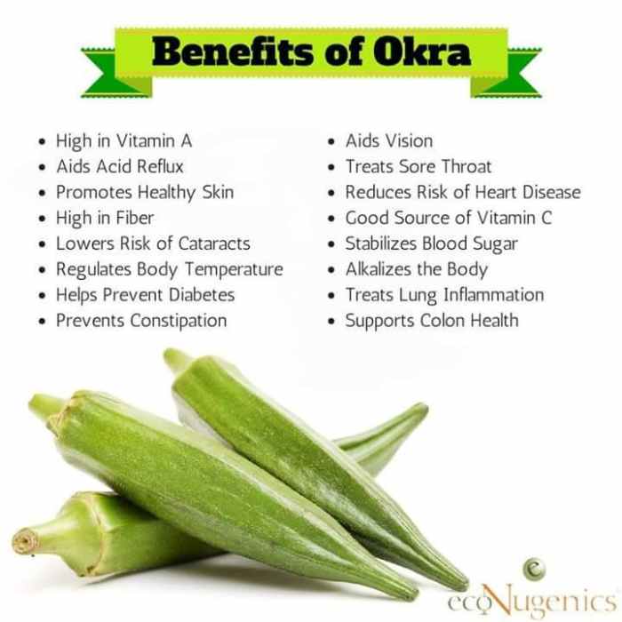 How to Successfully Grow Okra From Planting to Harvest Dengarden