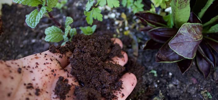 Loam soil is your goal. Squeeze some soil in your hands and it should form a ball or sorts, but it will break or crack as the dirt is sifted through your fingers.