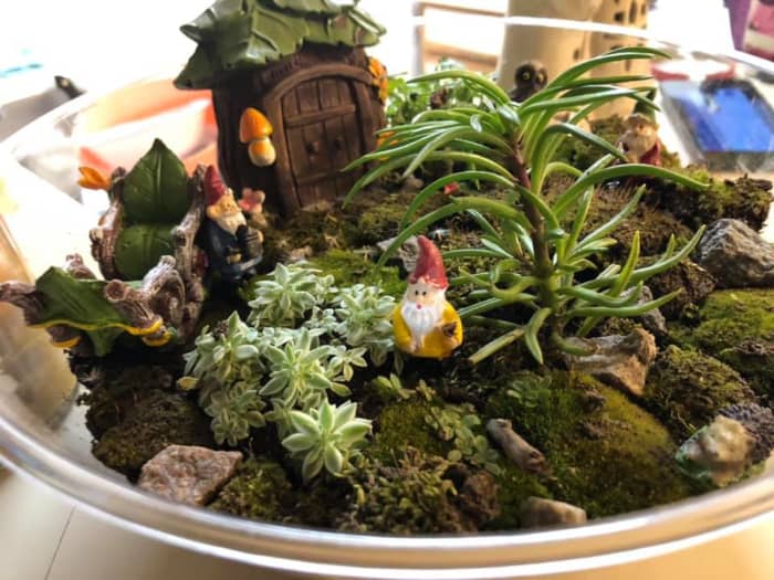 The best kind of terrariums are those that actually have live plants in them. Although there are many fake terrariums for sale, it is actually very cheap and easy to create your own.