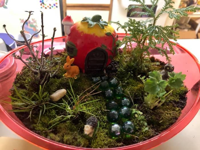 Add Color! You don't always have to have a clear container; you might want to play around with the way you use color in your terrarium. This Strawberry Terrarium is a great example of that.