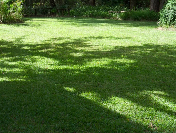 Regular and proper application of a lawn pesticide can prevent most pest damage in your Central Florida lawn.