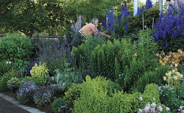 Bold blossoms that make a statement in the garden. Consider planting flowers like these; they can make the best flowers for bouquets.