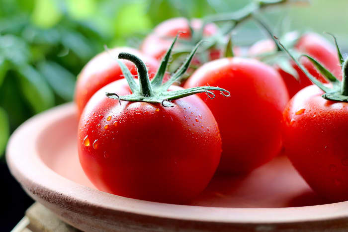 To grow tomatoes bursting with flavour, use organic companion planting techniques—and this article will show you how.