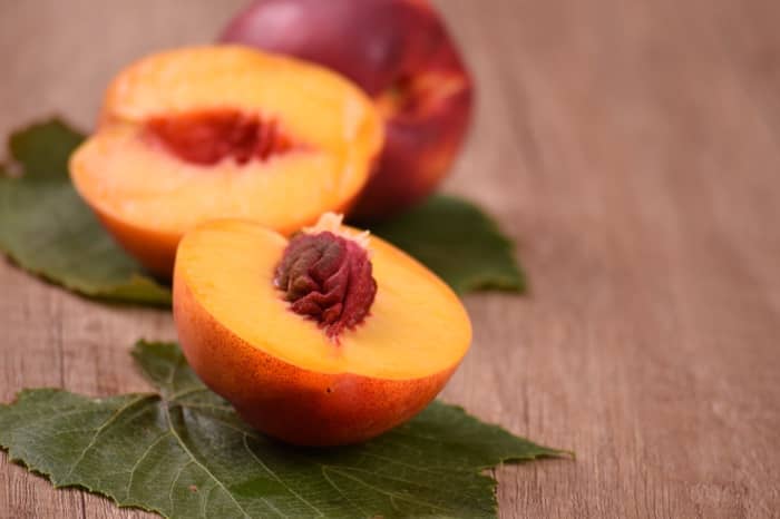 This article will break down some of the main reasons why planting a nectarine tree can be a great choice for both your yard and the environment.