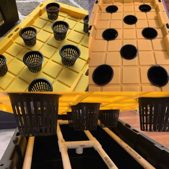 Build Your Own Hydroponic System A StepbyStep Guide Dengarden