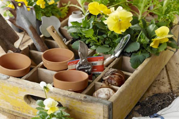 This is inspired by an old wooden cubbie box that was made from a reclaimed soda crate. It is suitable to organize your gardening tools.