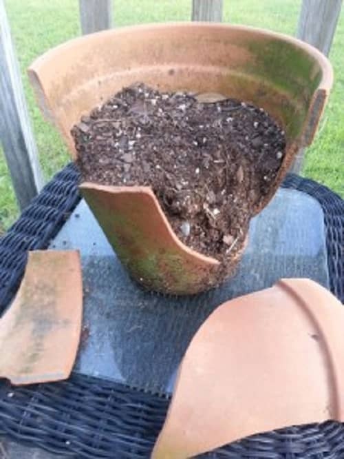 Don't throw away that broken pot! You can turn it into a whimsical work of living art.