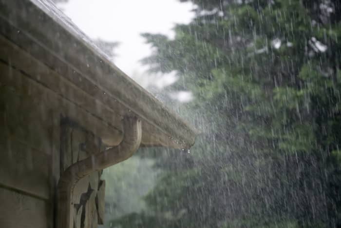 Since our air is polluted with a variety of harmful substances like carbon monoxide, arsenic, and other acids, it is not advisable to use rainwater to grow plants without filtering it.