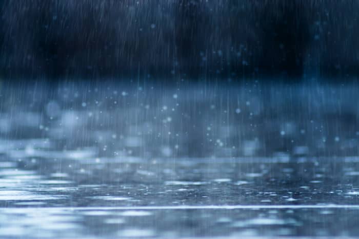 This extensive guide will break down everything you need to know about trapping, filtering, and using rainwater.