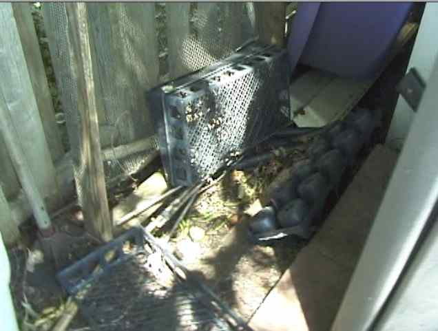 Place the trap in a spot you know they go to and cover it with surrounding plants or other items to conceal it.