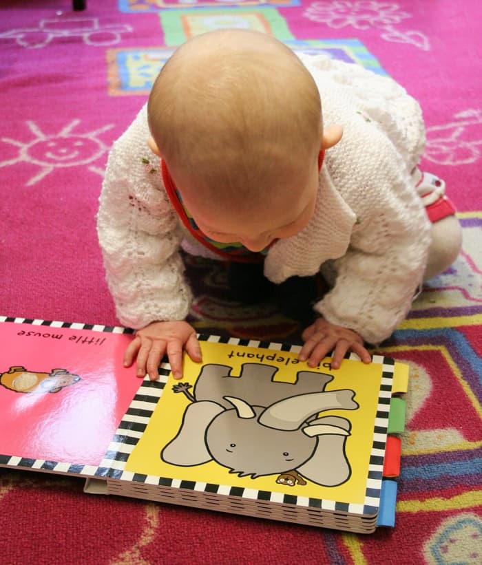 Natural pest control is better than chemical pest control when there are curious toddlers in the home.