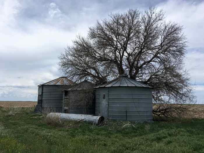 How to Find Used Grain Bins (Silos) for Sale Location and Value