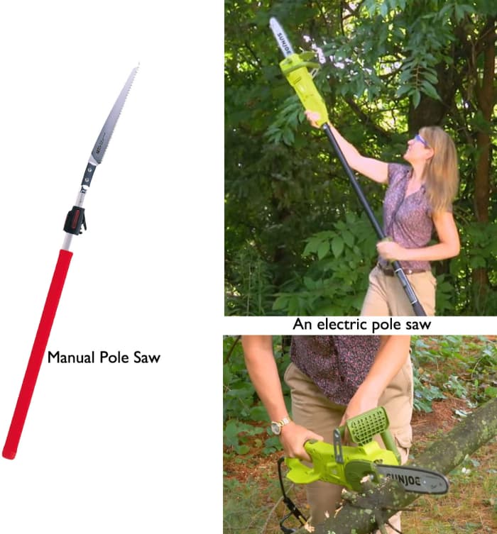 The Best Tree Saws for Every Backyard and Garden Task Dengarden