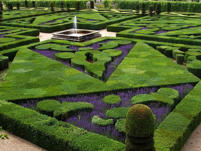 French formal garden has bushes pruned into geometric shapes, with smaller, darker flowers between to enhance the shapes.