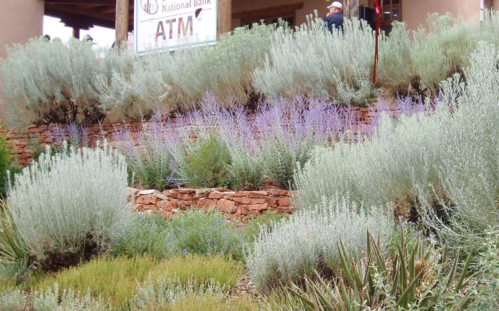 American Southwest style - brick walls mimicking arroyo cliffs, with desert (or Mediterranean) wildflowers. Taken in Santa Fe, New Mexico, 2012.