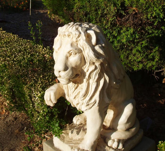 This is one of two lions placed at the entrance of a mansion in my neighborhood, one on either side of the front gate.
