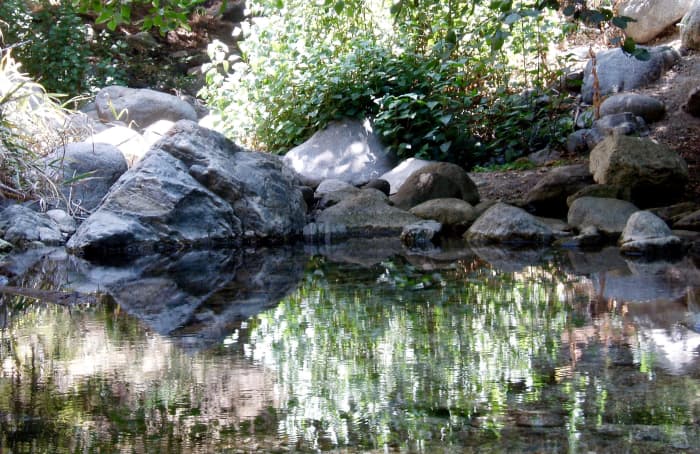 Build a little pond surrounded by rocks and trees. Fill it with koi or other fish (or frogs) to kill mosquito larvae. The trees can house mosquito-eating birds too.