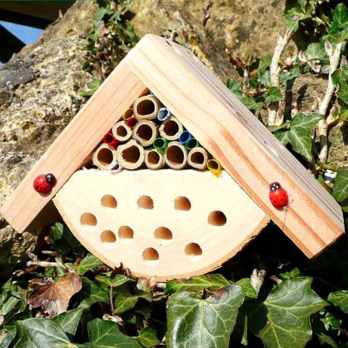Encourage your kids to create a cute and functional habitat for ladybugs, bees, and other beneficial insects: