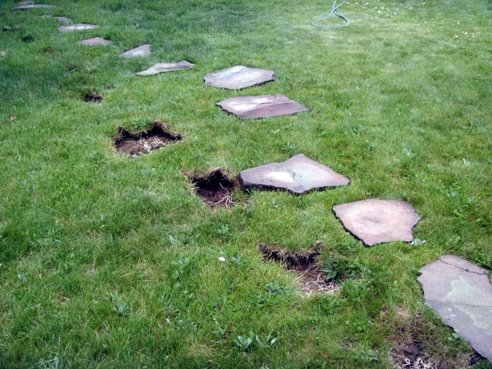 Removal of the old flagstone pavers from the yard. Holes were re-filled with sod removed from the new patio.