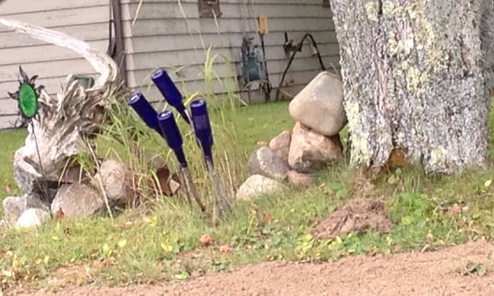 A tiny bottle tree.