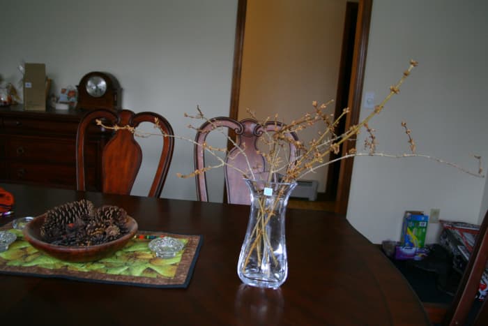 Place the branches in clean, tepid water and wait for the blooms to appear. Change the water every few days.