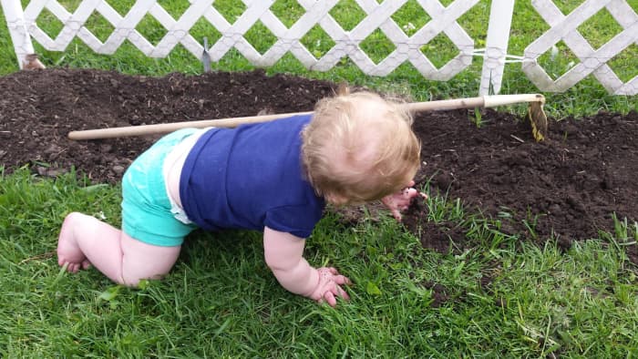 a-family-garden-gardening-with-children