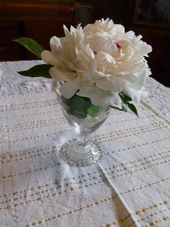 How to Arrange Peonies 5 Ideas Dengarden