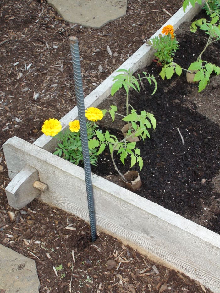 How to Build a Simple Trellis for a Tomato and Vegetable Garden - Dengarden - Home and Garden