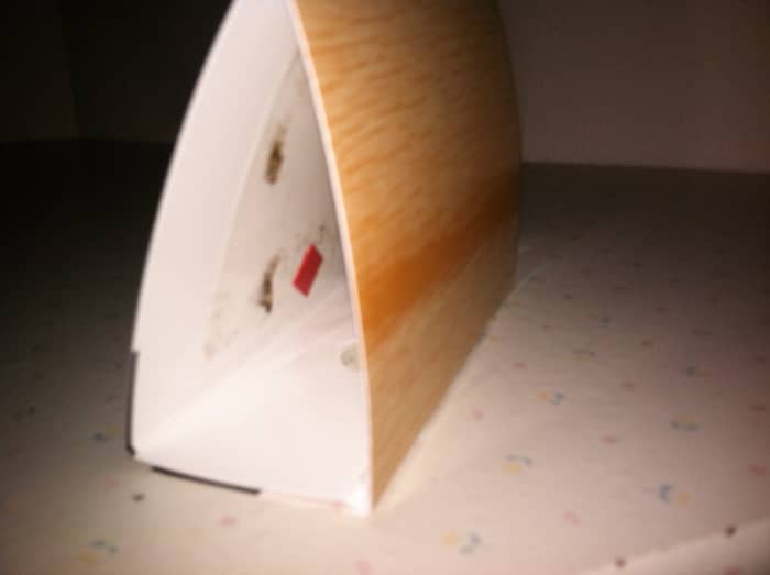 Male moths in trap. The red square is the pheromone lure, the rest of the tent has sticky paper on it to catch and kill them.