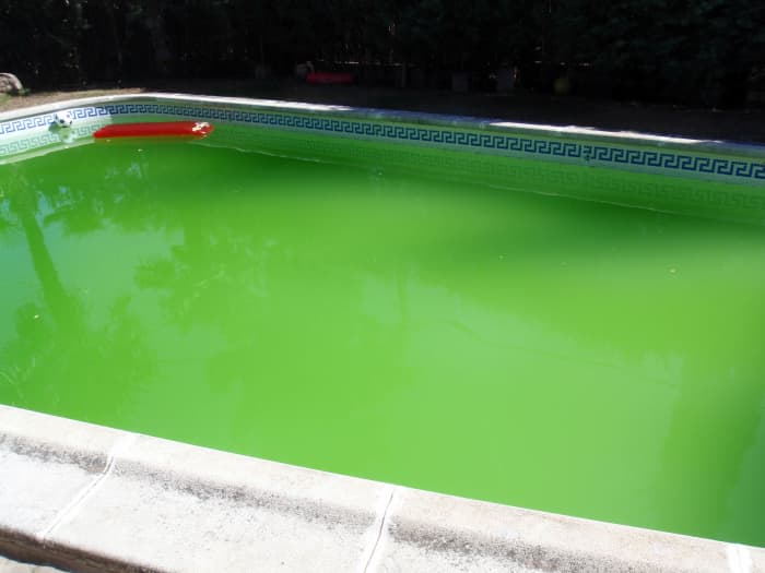 green pool shock treatment