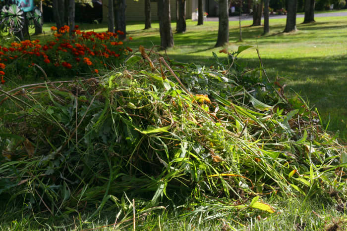 A pile of leaves pulled from the garden - this pile will become rich compost by late spring.