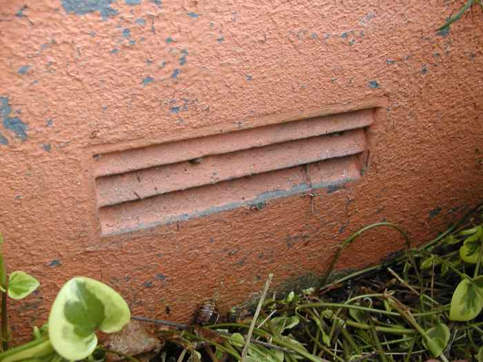 Vents at the base of walls should be unobstructed by vegetation and raised flower beds