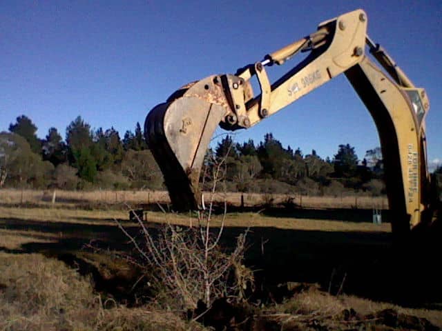If your land is big enough, consider building a dam. As soon as we bought our property, we hired the machinery to dig a dam. Then my husband built a shed alongside it and diverted rainfall from the roof into the dam to help fill it.