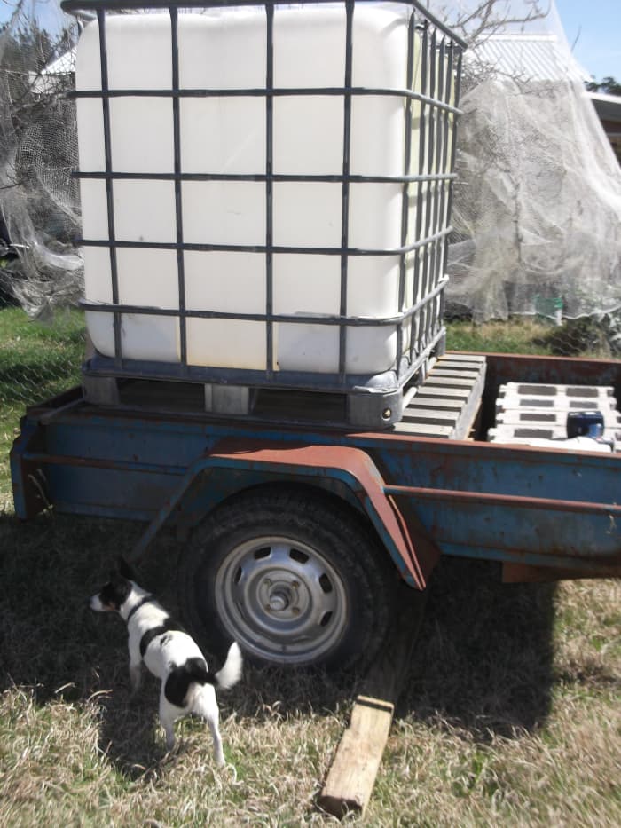 This tank holds 1,000 litres of water. Propped up on an old trailer (when it is empty), we then pump it full of water - and tow it around our property to water distant tree. Easier than carrying buckets.