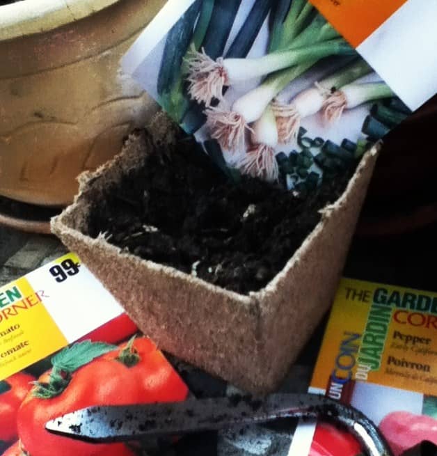 Hot peppers, green onions, and basil are easy to grow in planter boxes on your patio. These herbs and veggies may be small in size, but they add big flavor to your mocktails.