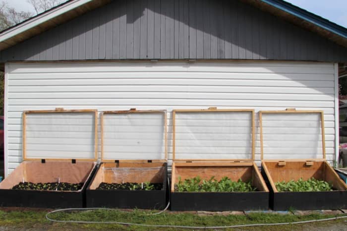 The south-facing side of this garage wall received more sunlight than many other parts of the property and was a highly under-utilized space.