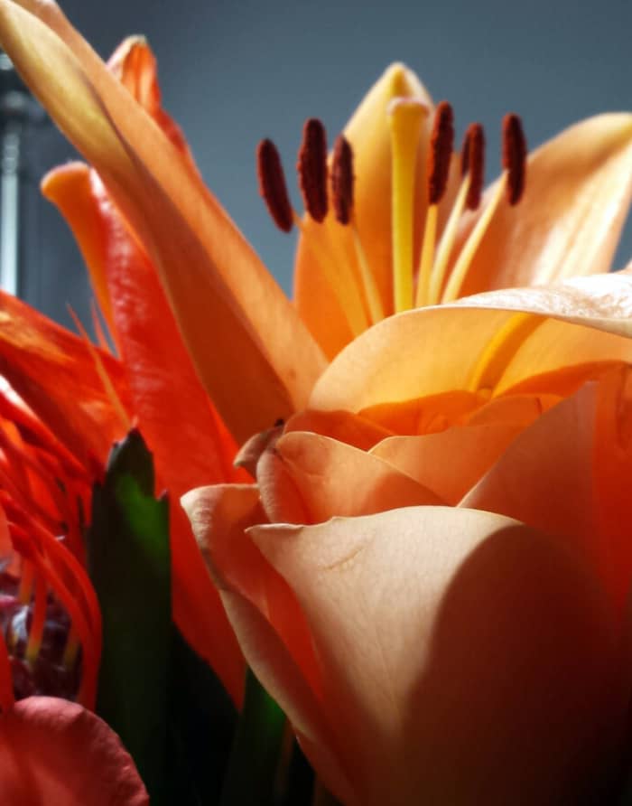 Roses and daylilies are both edible. These were in a bouquet from a florist, so I wouldn't use them in cooking, but they're grown easily enough.