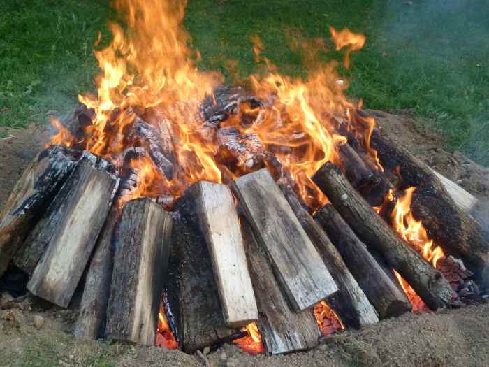 How to Burn Out a Big Tree Stump Dengarden