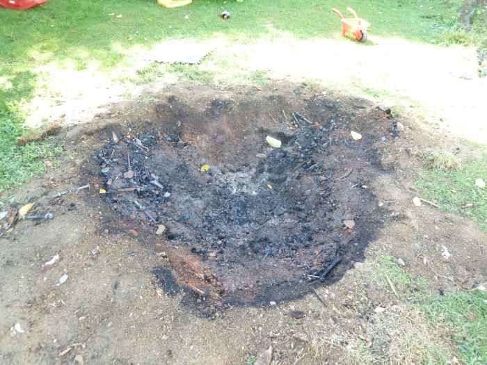 How to Remove a Tree Stump the Easy Way Burn It Out Dengarden