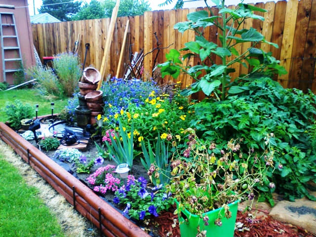 Easy-to-grow Garden Plants For The Columbia Basin Of Washington State 