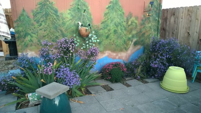 Fall asters stand tall as they bloom brightly against the wall of an old wooden garden shed. I painted trees on the wall to make the shed seem like it was part of the landscape.