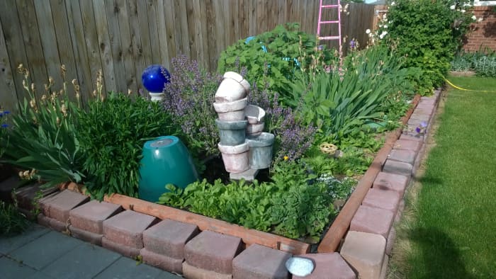Common cooking sage with purple blooms forms a lush and dramatic backdrop for Tuscan inspired fountain. Landscape Design by Nancy Owens,