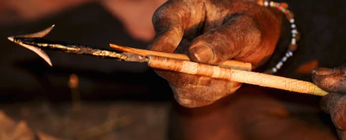 The extract of the adenium plant is used to make poison arrows that can take down large game in Africa.