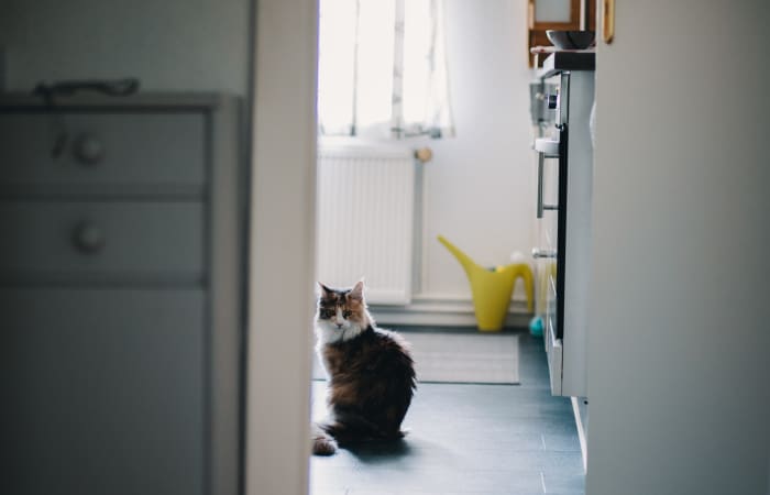 There's likely no smellier room in your house than the bathroom, but that doesn't mean that some smart ingredients and elbow grease aren't up to the task.