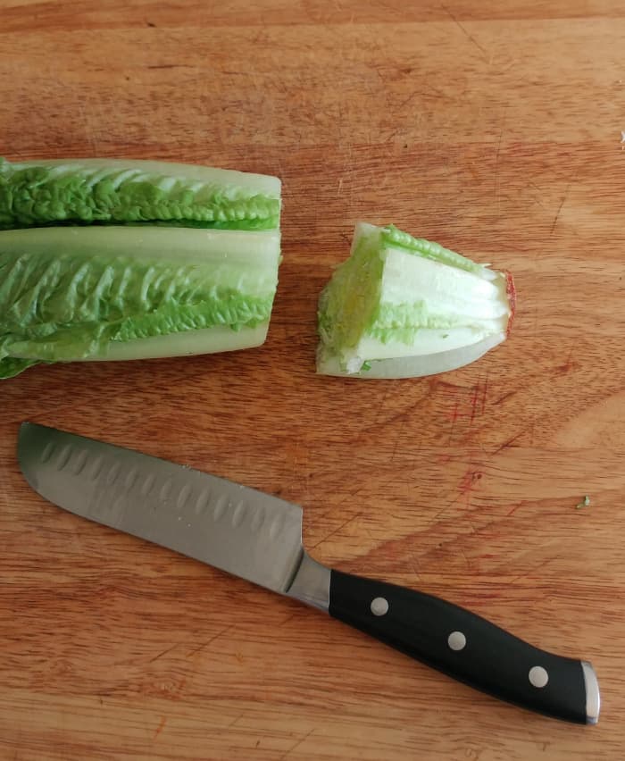 Corta la parte inferior del tallo de la lechuga. No demasiado corto, pero lo suficientemente largo para ser plantado.